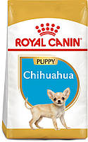 Сухой полнорационный корм для щенков Royal Canin Chihuahua Puppy породы чихуахуа возрасте от 2 до 8 месяцев