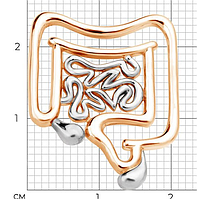 Медицинская брошь брошка значок пин золотистый металл медицина кишечник толстая кишка проктолог
