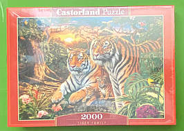 Пазли Сім'я тигрів (2000 елементів). Castorland