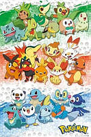 Pokemon - First Partners (Постер)