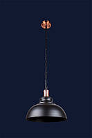 Подвесной светильник в стиле лофт 7526858F-1C BK на 1 лампу