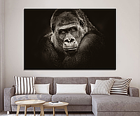 Модульные картины на холсте - Обезьяна горилла Premium