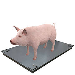 Ваги для тварин 1500х1000 мм, платформа для зважування худоби, ваги для свиней без грат, ваги для худоби
