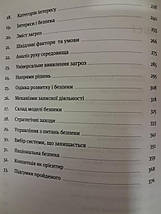 Безпека на межі світів. Лисенко-Зарецький С.., фото 2