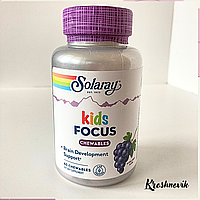 Solaray Підтримка розвиваючого мозку дітей, Focus For Children із виноградним смаком, 60 жувальних таблеток