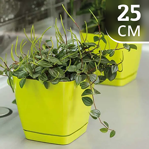 Горщик для квітів Тоскана 25 см 11 л квадратний, з піддоном