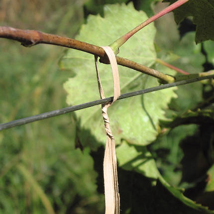 Шпагат-дріт Штокер Legafix що саморозкладається 15 см / 1000 шт (Stocker 20315), фото 2