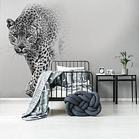 Флізелінові фотошпалери 368x254 см 3D Тварини - Чорно-білий леопард (13997V8)+клей