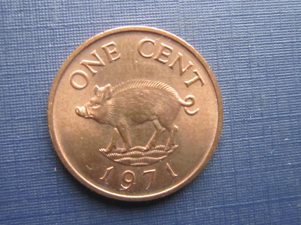 Монета 1 цент Бермудські острови Бермуда Британські 1971 фауна поросень стан - фото 1 - id-p385933128