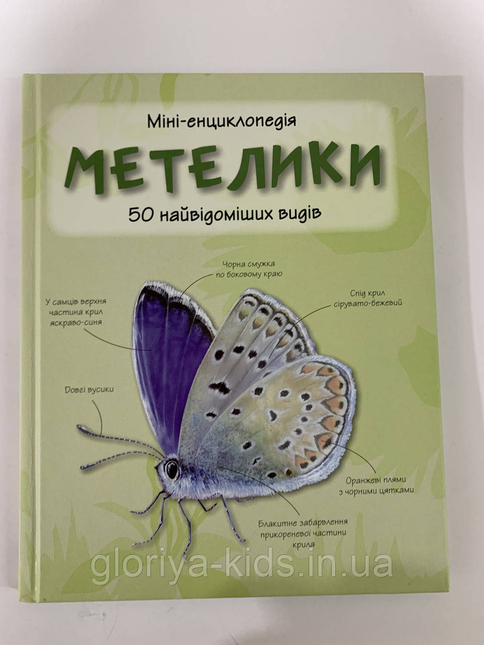 Міні-енциклопедія. Метелики
