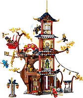 LEGO Ninjago Храм енергетичних ядер дракона 1029 деталей (71795), фото 4