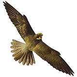 Відлякувач птахів ХИЖАК-2 від ластівок, голубів, горобців, фото 2