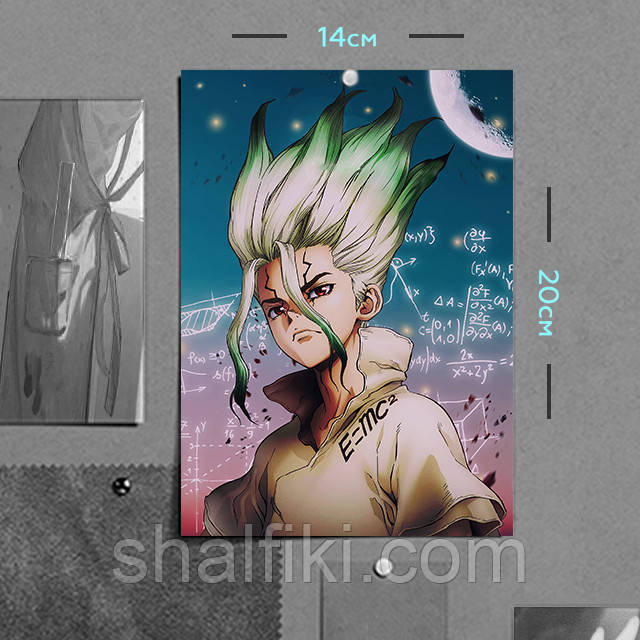 "Сенку Ісігамі (Доктор Стоун / Dr. Stone)" плакат (постер) розміром А5 (14х20см), фото 1
