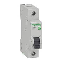 Автоматический выключатель Schneider Electric Easy 9 EZ9F34110 1P C 10 A