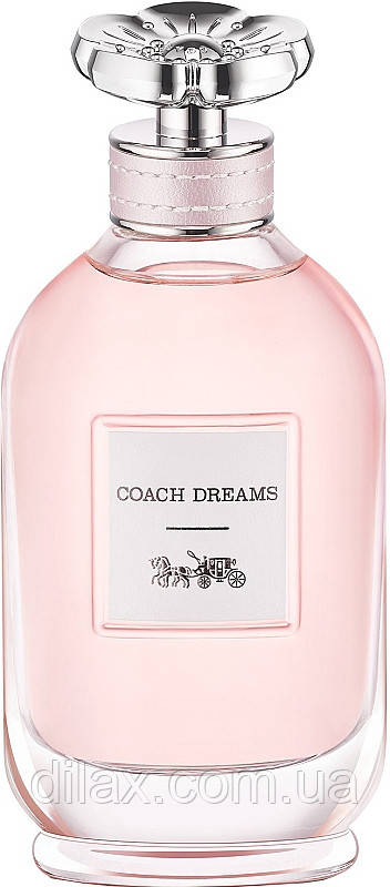 Coach Dreams (903833) - фото 1 - id-p1871023163