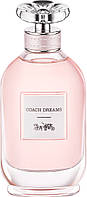 Coach Dreams (903833)