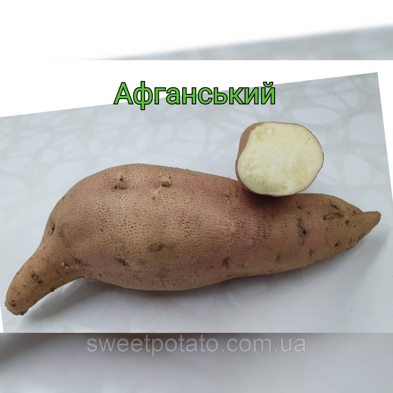 Сортовий батат для розсади 🌿🍠 сорт Афганський Із білою м'якотю, фото 1