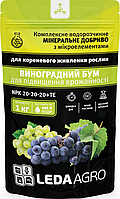Добриво Виноградний бум, NPK 20-20-20+TE, 1кг, ТМ ЛєдаАгро