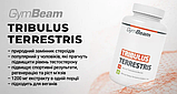 Tribulus Terrestris - GymBeam 120Tab (1200mg), фото 2