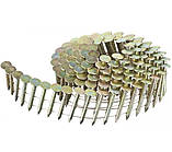 Цвяхи покрівельні DeWALT DNR термічне цинкування 3,05x32мм 1200шт (DNR3132HDZ)