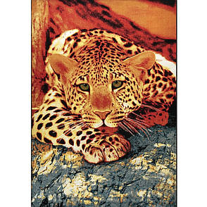 Килим леопард Колібрі 11123/120 розмір 120х170, фото 2