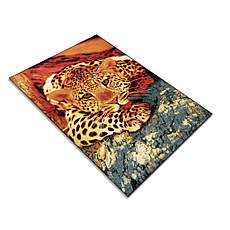 Килим леопард Колібрі 11123/120 розмір 120х170, фото 2