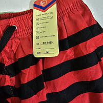 Шорти болоневі чоловічі оптом, M-3XL рр., арт. Hay-BK-9839, фото 4