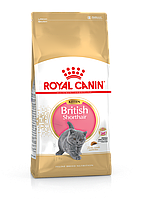 Royal Canin British Shorthair Kitten - сухий корм для кошенят породи британська короткошерста 2кг