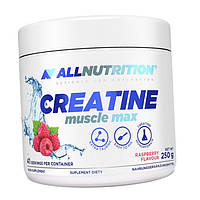 Креатин All Nutrition Creatine Muscle Max 250 грамів