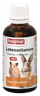 ЛебенсВитамине LebensVitamine Beaphar жидкие витамины для грызунов, 50 мл