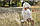Elodie Details - Дитяча панамка Meadow Blossom, 6-12 місяців, фото 4