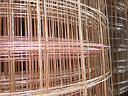 Композитна сітка кладочна HardMesh осередок 50х50мм, діаметр 2мм