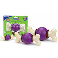 Жувальна іграшка з ласощами для собак PetSafe Busy Buddy Bouncy Bone (129450)