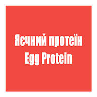 Яєчний протеїн (Egg Protein)