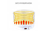 Професійна сушарка для овочів та фруктів Royals Berg Rb-959 електрична 800Вт 5 секцій, фото 5