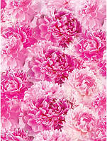 Красивые фотообои на кухню 184x254 см Ярко розовые цветы пионы (3189P4A)+клей