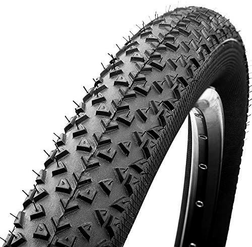 Race king 2.2 protection 29x2 2 hotsell