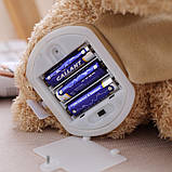 Милий ведмідь електричний музичний, 33 см, М'яка іграшка розвиваюча, Іграшка Peek A Boo, фото 9