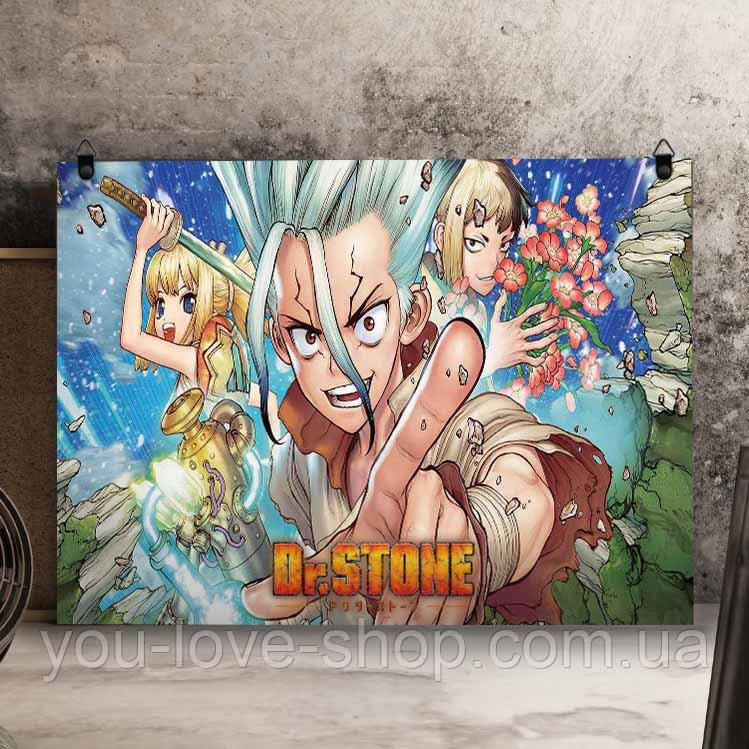 Металевий плакат Dr. Stone "Сенку, Ген та Кохаку" / Доктор Стоун