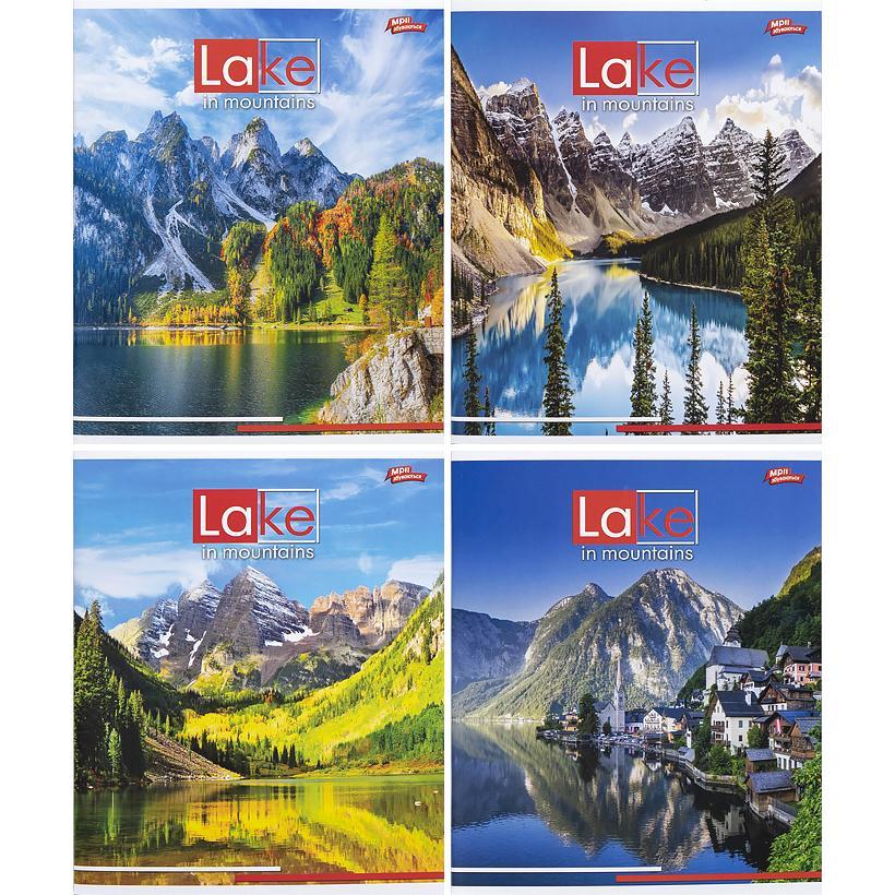 Зошит кольоровий 96 аркушів, клітинка 3412, фото 1