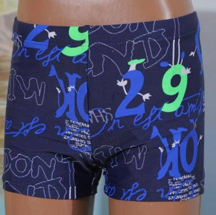 Шорты-Плавки мужские 284 Samegame электрик(В НАЛИЧИИ ТОЛЬКО 50 52 54 56 размер), фото 1