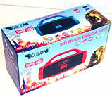 Портативна колонка RX-1829 Bt Golon, фото 2