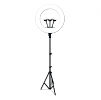 Лед-лампа кольцевая для студийного освещения LED RL - 21 с пультом и штативом для фото и видео
