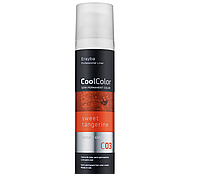 Erayba Cool Semi-permanent Hair Color Cream 100 ml Семиперманентная крем-краска для волос C03 - Sweet Tangerin