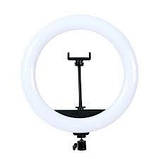 Кільцева лід-лампа для студійного освітлення LED лампа RL-14 Soft Ring з пультом для фото і відео, фото 2