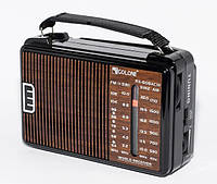 Потужний цифровий портативний радіоприймач GOLON RX-608ACW переносне радіо робота від мережі