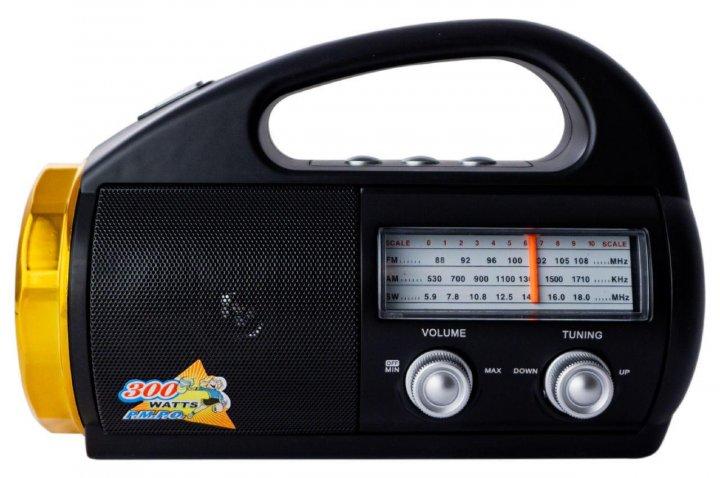 Портативна колонка Golon RX-710 BT із ліхтариком FM приймачем