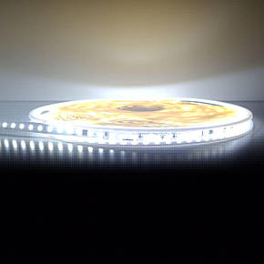 LED стрічка 220V ДЛЯ ПРИМІЩЕНЬ BIOM Professional (smd 2835) 120 LEDs/м IP44 холоднийбілий, фото 1