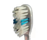 Зубна щітка середньої жорсткості "CAOLA", з присоскою (А-380), фото 3