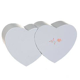 Коробка для квітів "Хвилювання", біла ELISEY